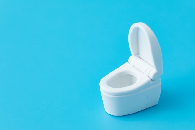 膀胱結石または腎臓結石